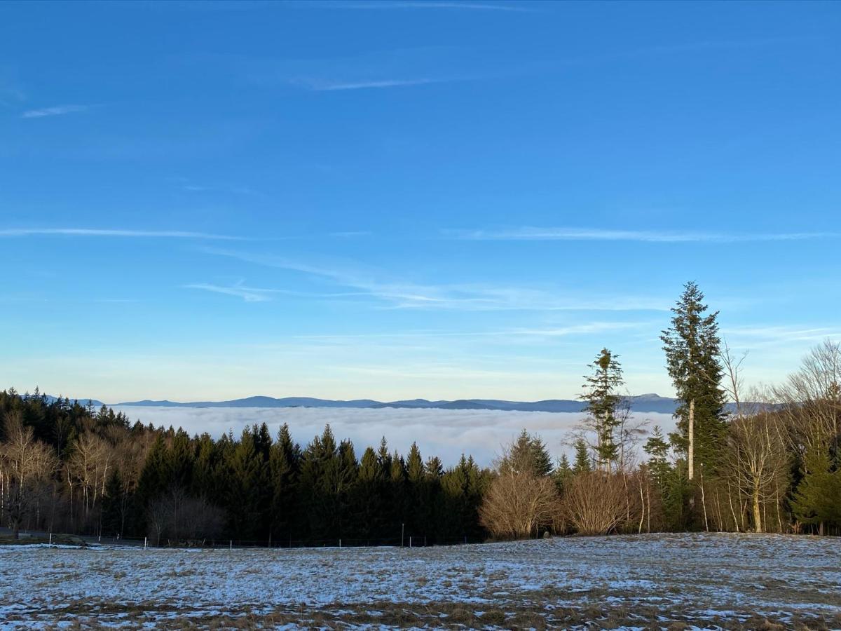 Mitten Im Bayerischen Wald-95M² Wohnung + *Netflix* Direkt Am Skilift! Schofweg ภายนอก รูปภาพ
