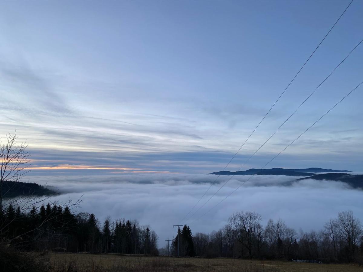 Mitten Im Bayerischen Wald-95M² Wohnung + *Netflix* Direkt Am Skilift! Schofweg ภายนอก รูปภาพ