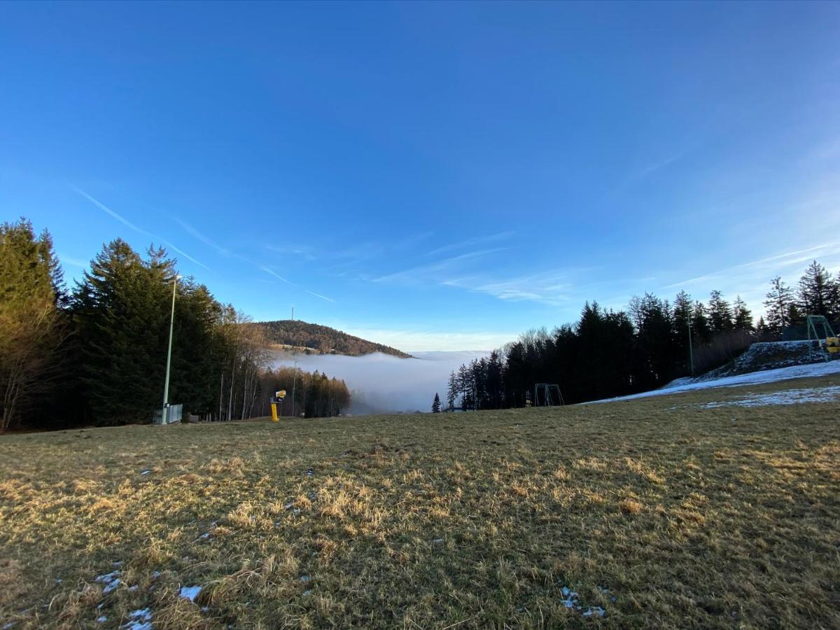 Mitten Im Bayerischen Wald-95M² Wohnung + *Netflix* Direkt Am Skilift! Schofweg ภายนอก รูปภาพ