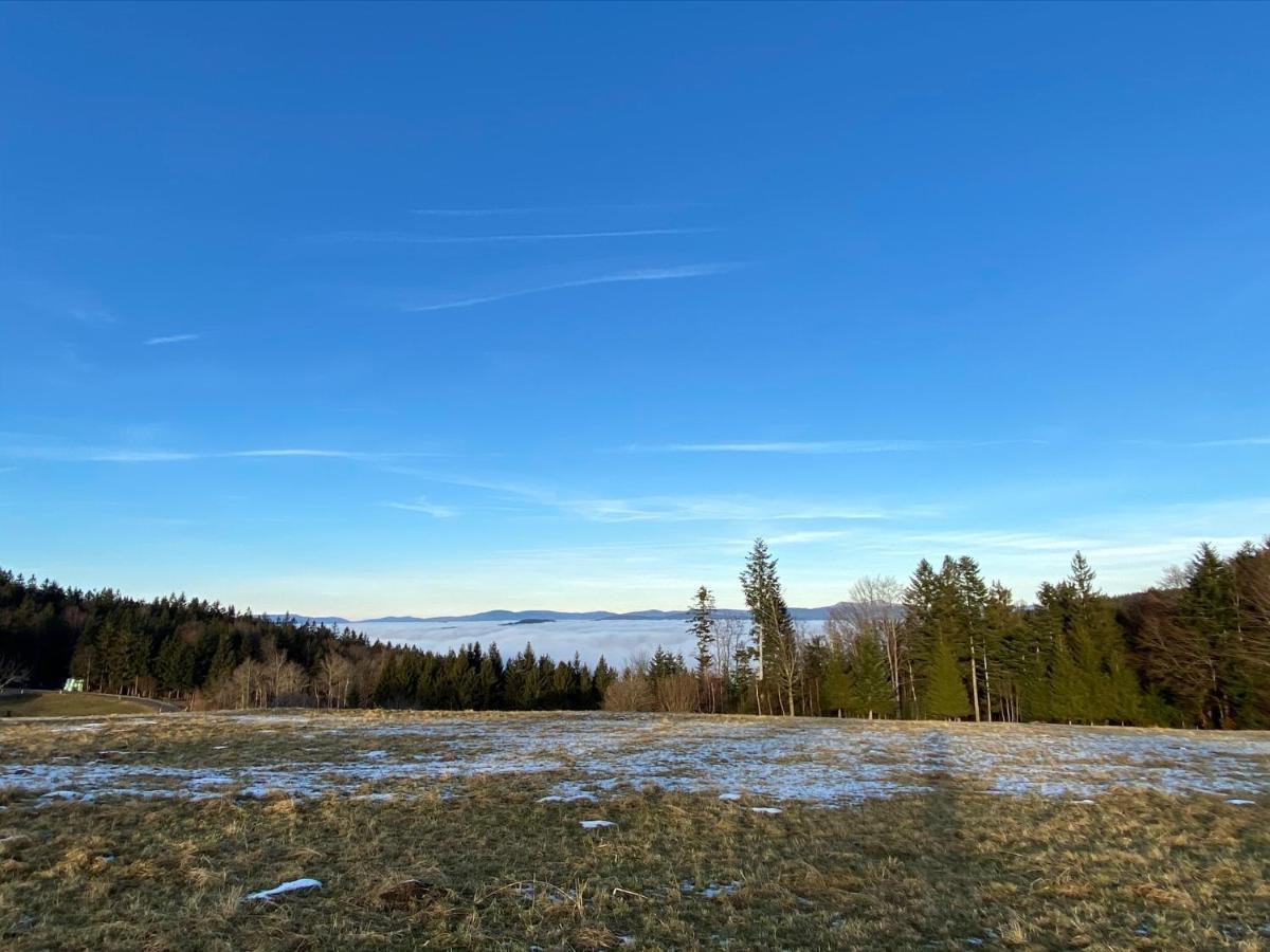 Mitten Im Bayerischen Wald-95M² Wohnung + *Netflix* Direkt Am Skilift! Schofweg ภายนอก รูปภาพ