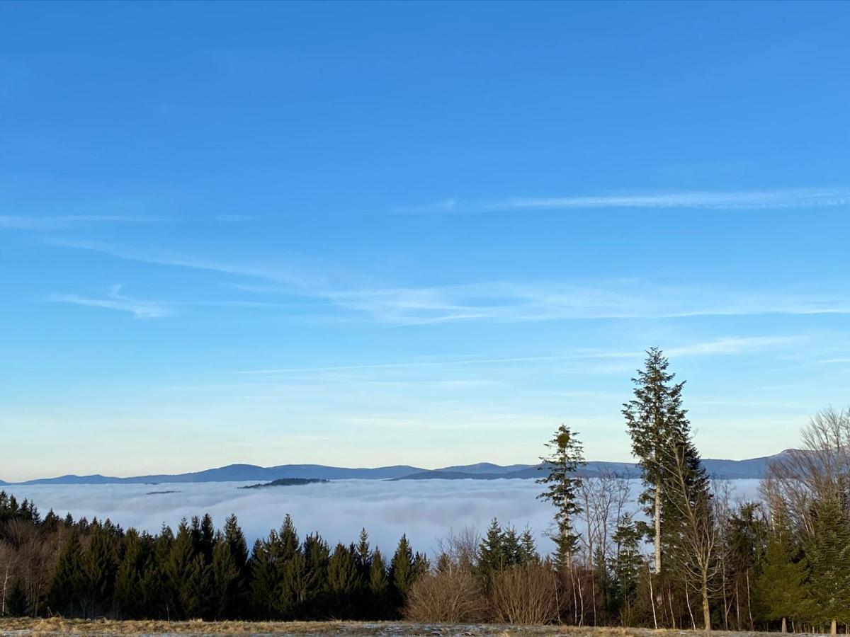 Mitten Im Bayerischen Wald-95M² Wohnung + *Netflix* Direkt Am Skilift! Schofweg ภายนอก รูปภาพ